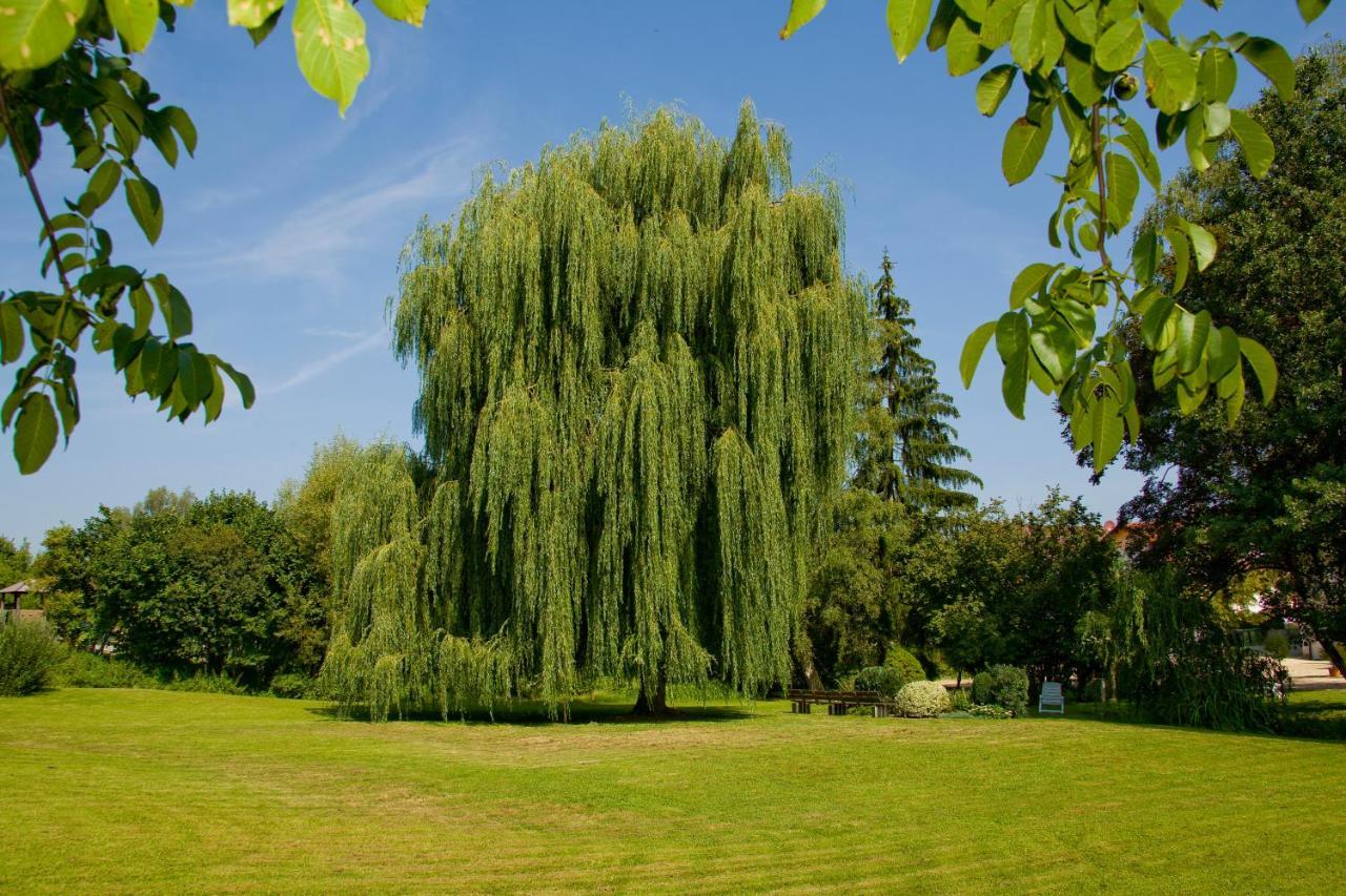 Schoenenberger Hof Orsingen-Nenzingen Exteriér fotografie