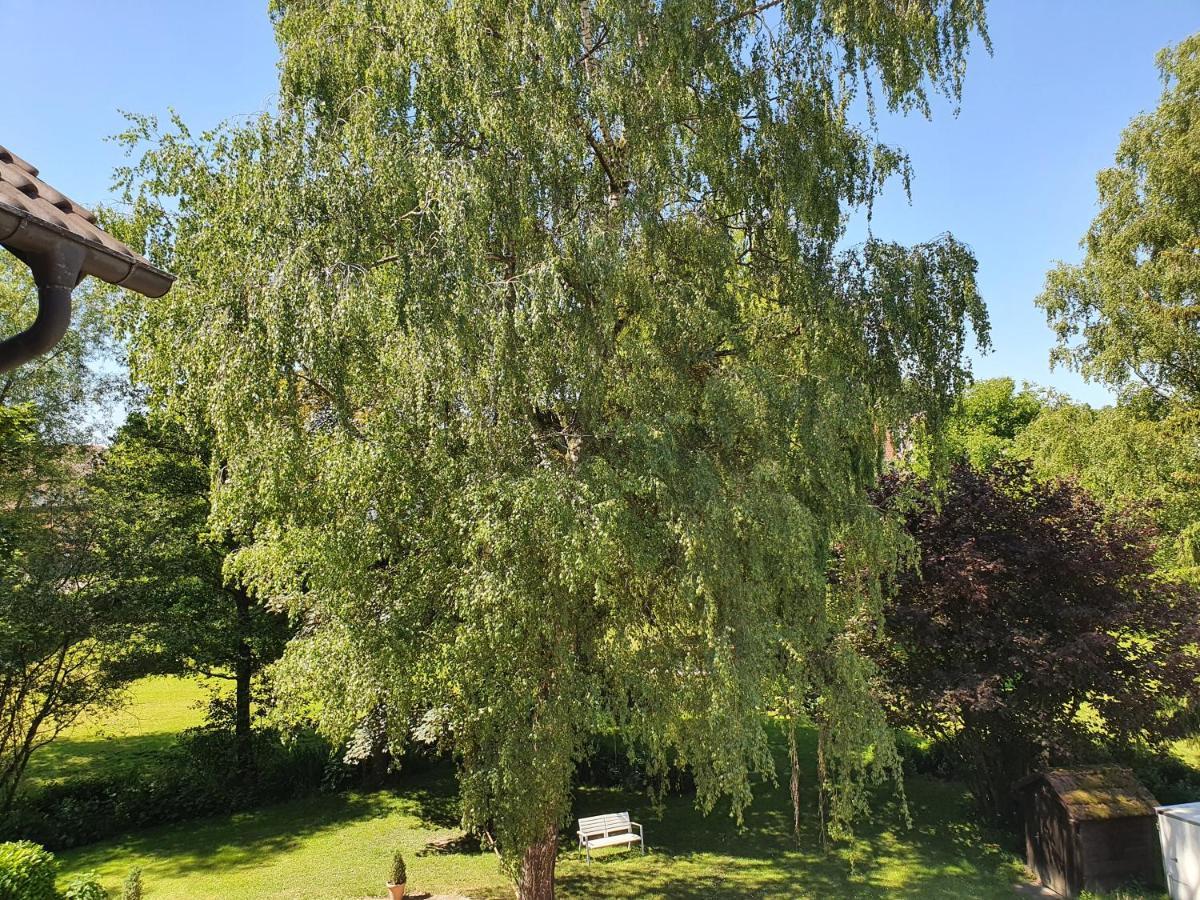 Schoenenberger Hof Orsingen-Nenzingen Exteriér fotografie